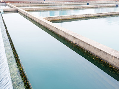 如何評(píng)判黑臭水體治理技術(shù)好壞?